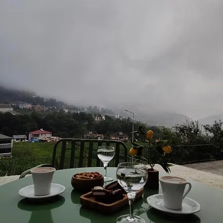 Altun's * טראבזון