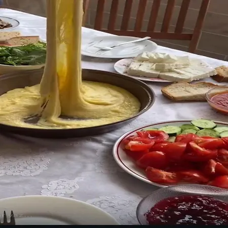 펜션 Altun's 트라존